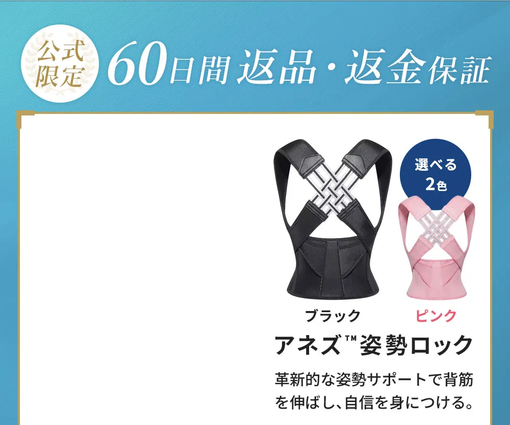 【公式限定】60日間返品・返金保証　アネズ姿勢ロック